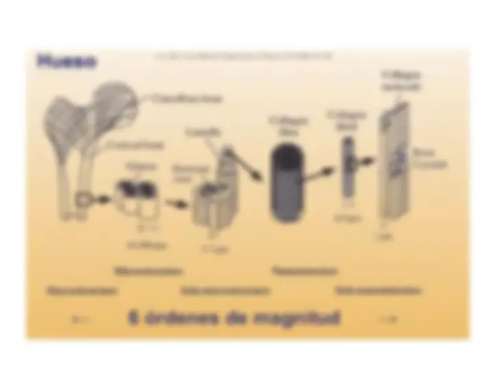 pf47