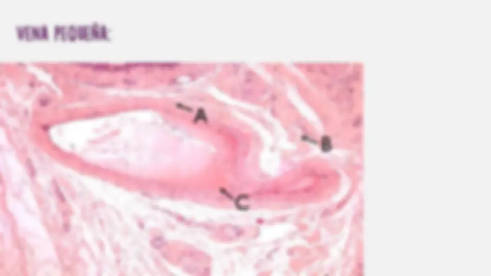 pf5