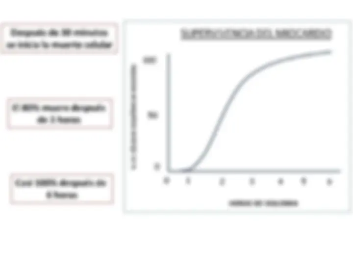 pf1c