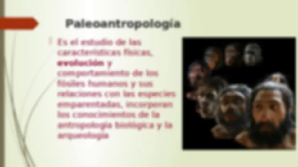 pf14
