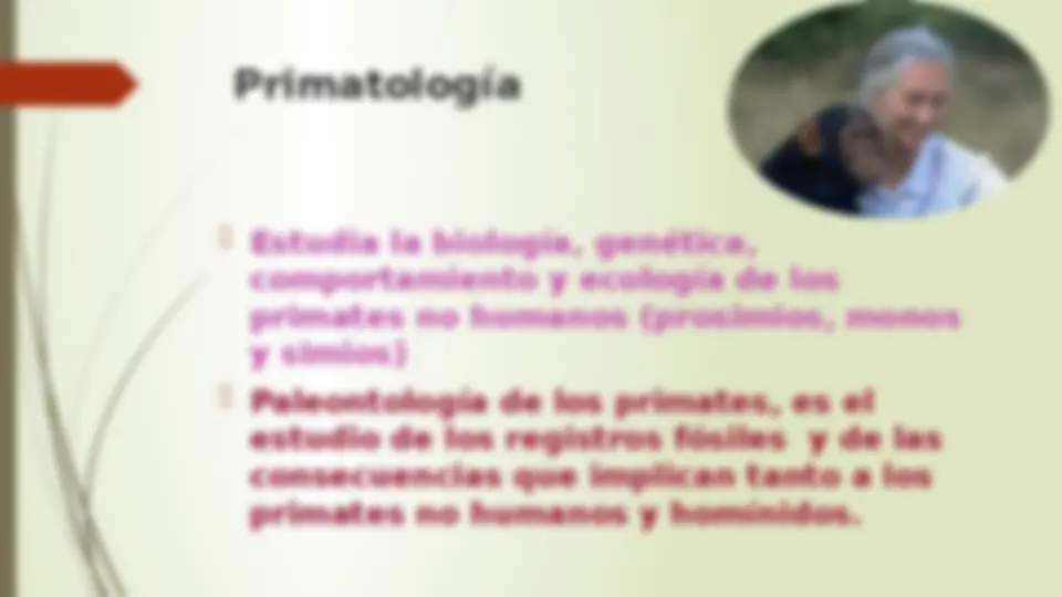 pf12