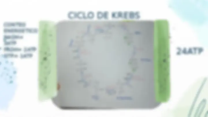 pfe