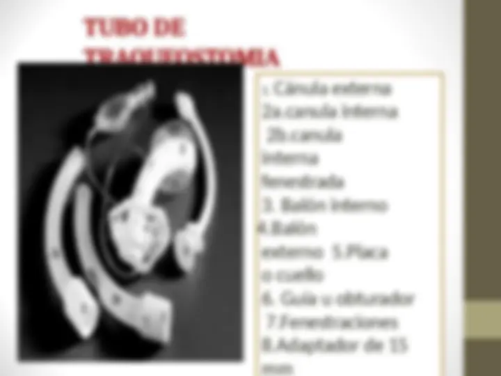 pf13