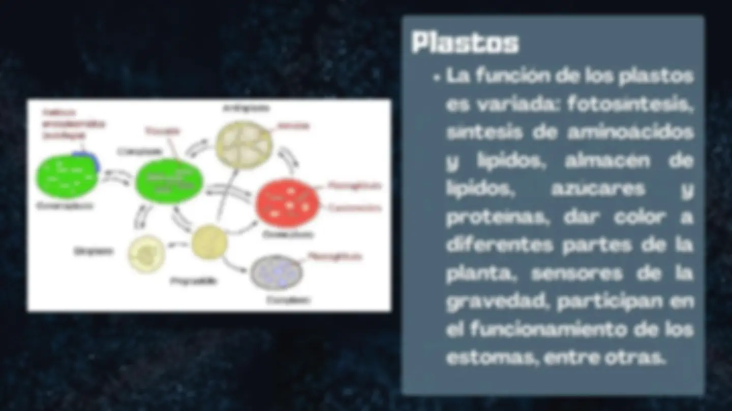 pf12