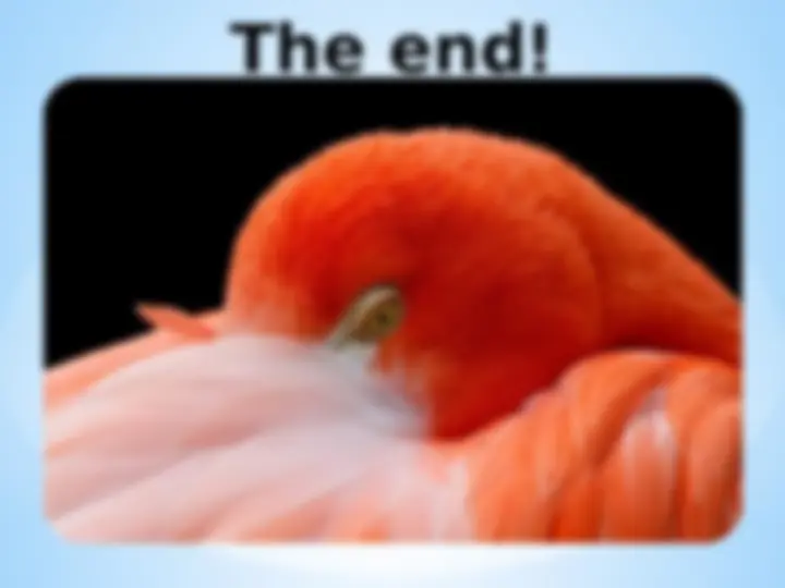 pff