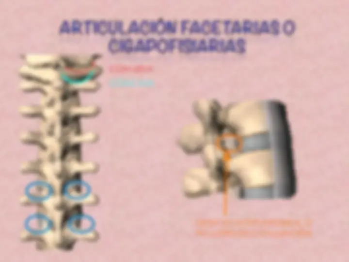 pf14