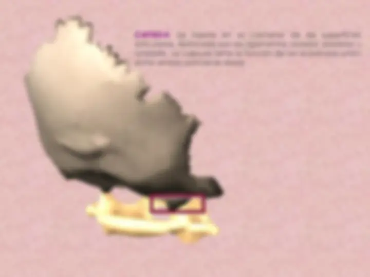 pf8