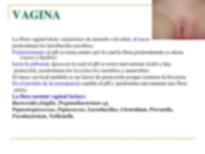 pfa