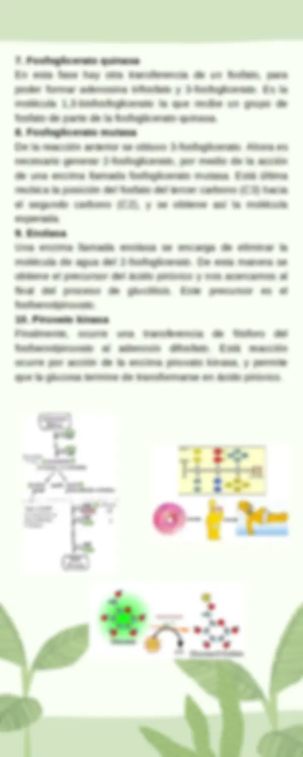 pf3