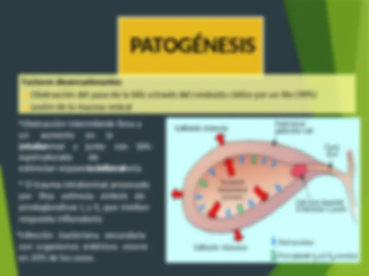 pf13