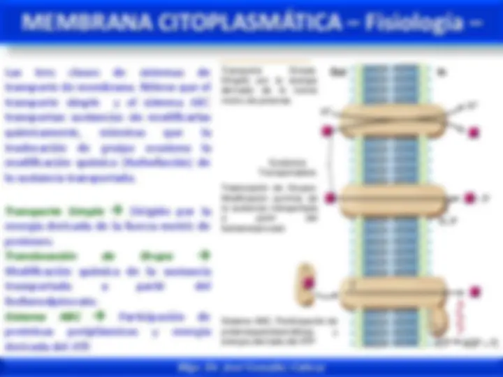 pf1c
