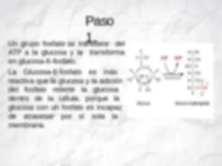 pf8