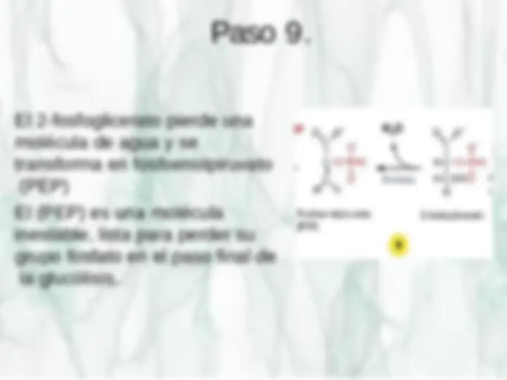 pf12