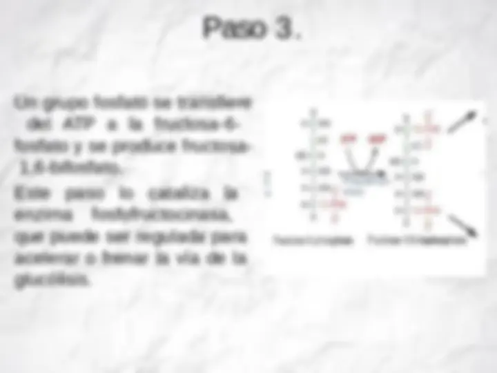 pfa