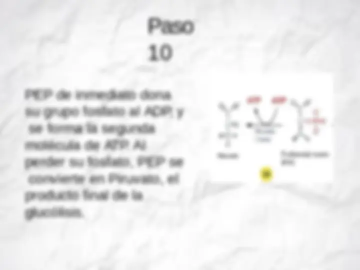 pf13