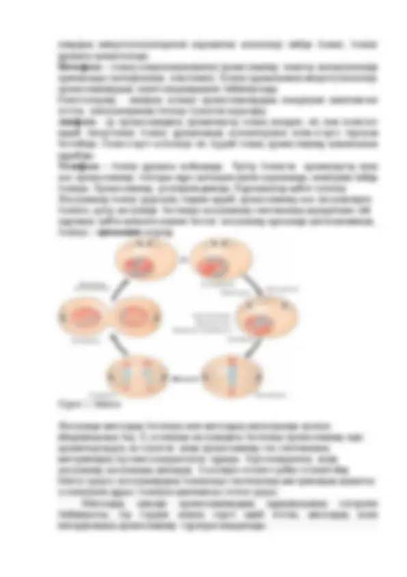 Секс Саней Семенович