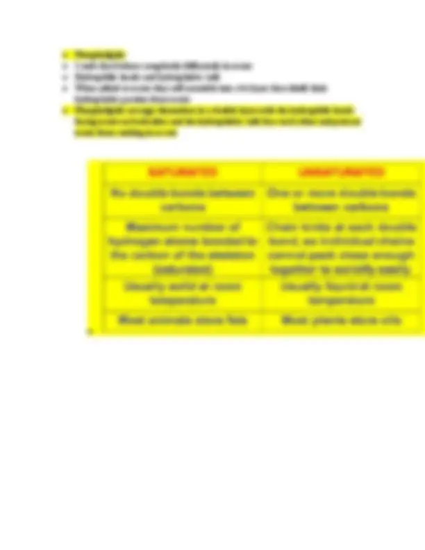BIOL 1001 Exam 1 study guide | Study notes Biology | Docsity