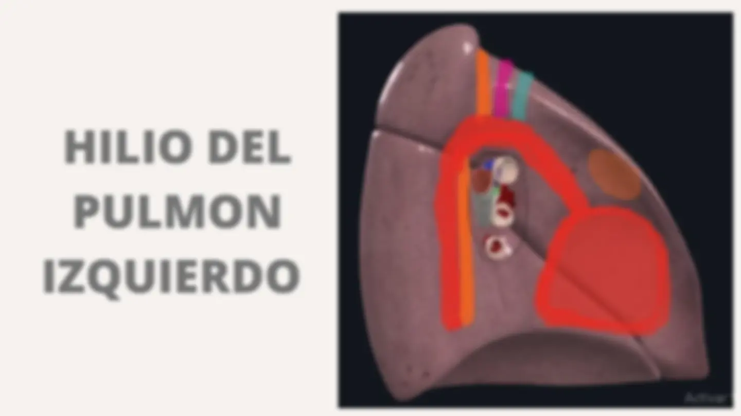 pf4
