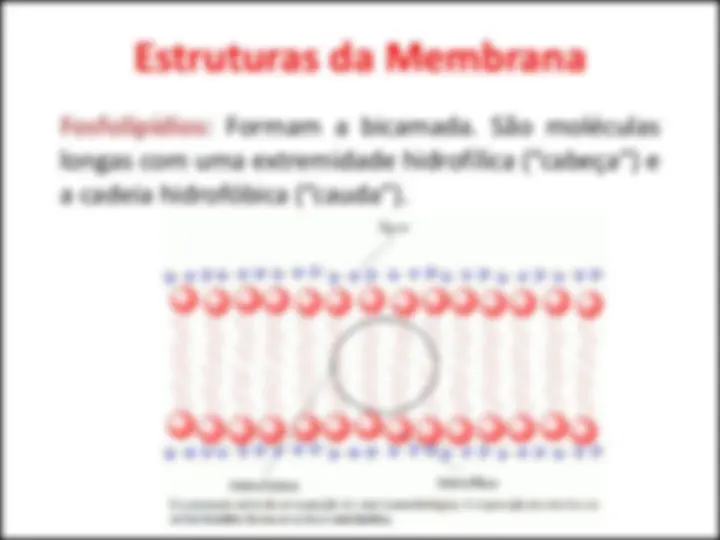 pfe