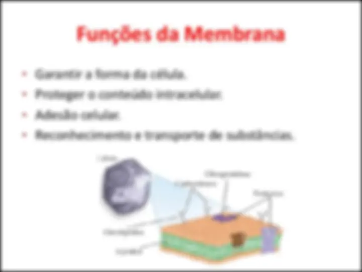 pf19