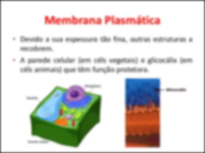 pf4