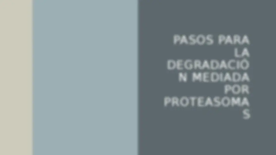 pfd