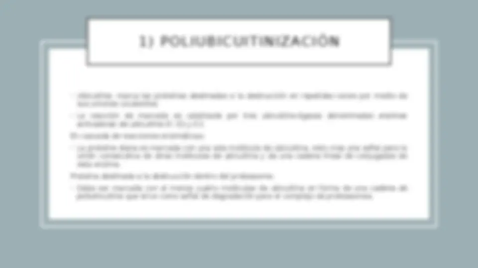 pfe