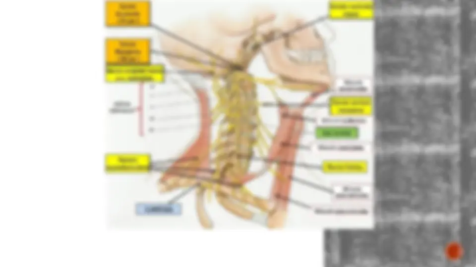 pfa