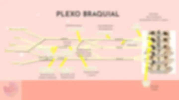 pf1b