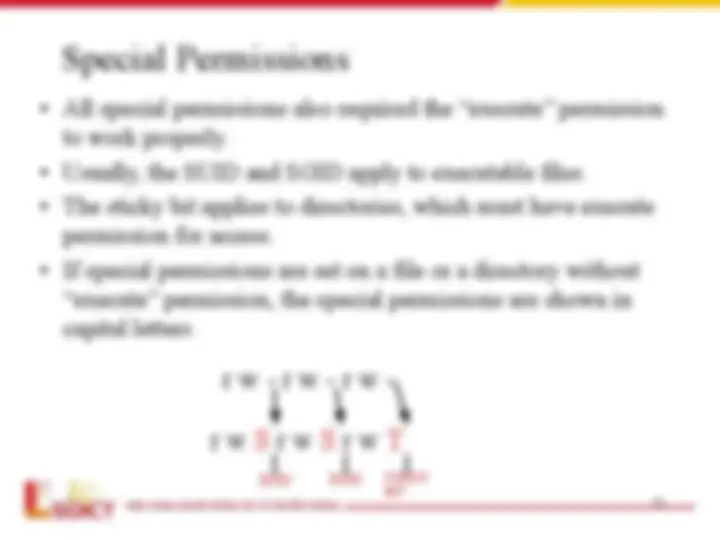 pf33