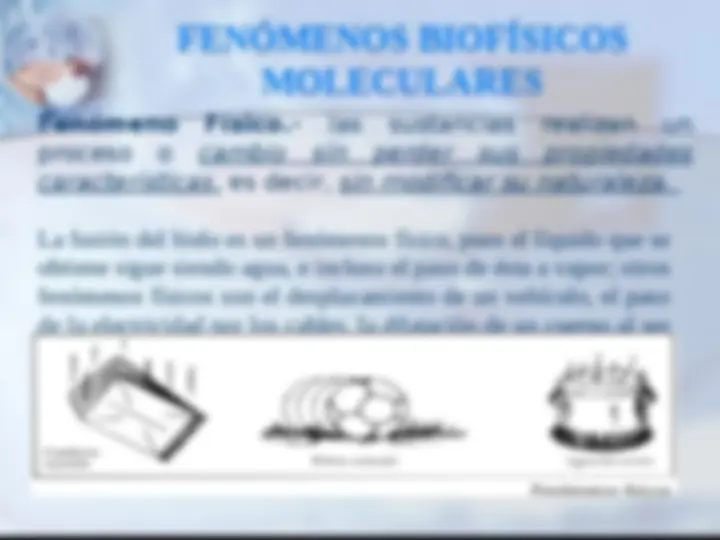 pfe