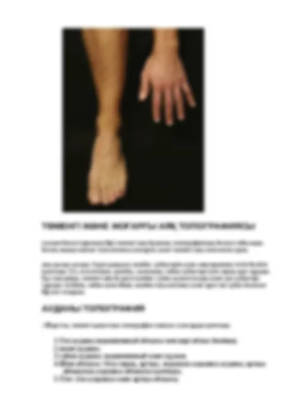 Суретшінің мысы