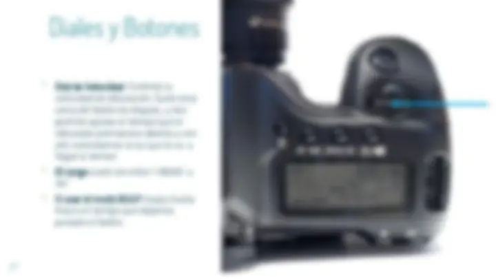 pf1b