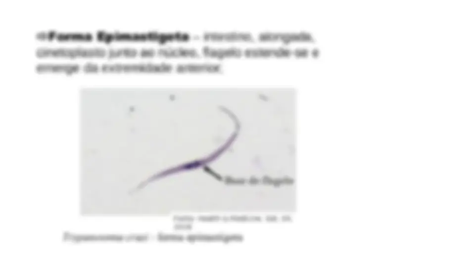 pf12