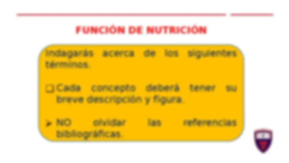 pf3
