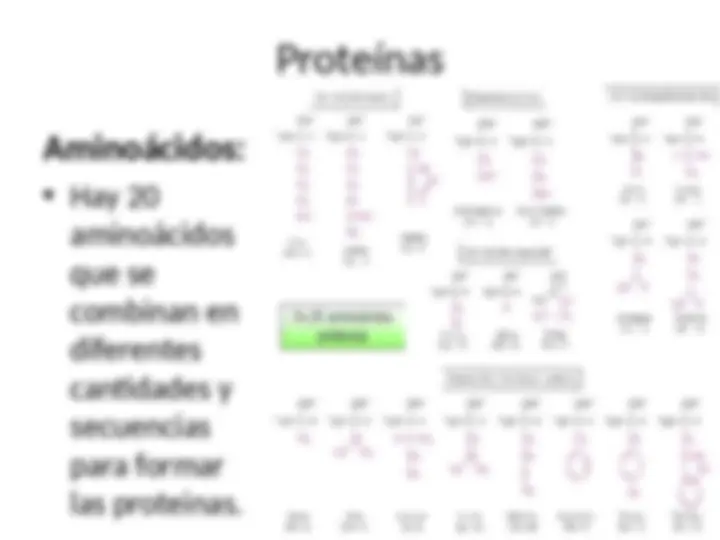 pf23