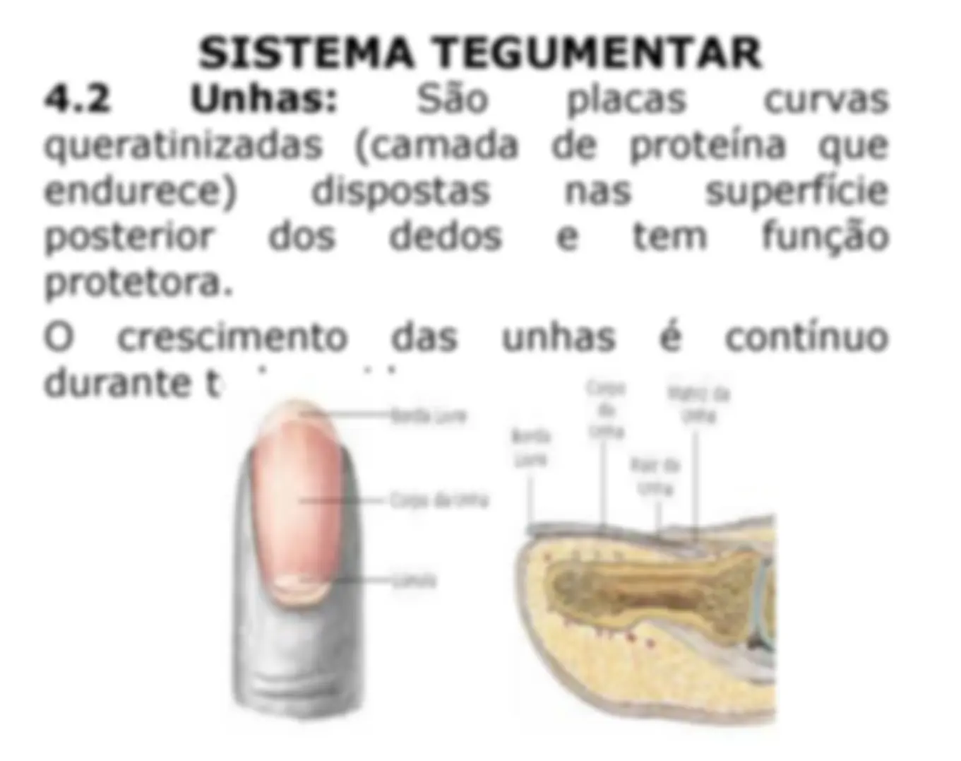 pf18