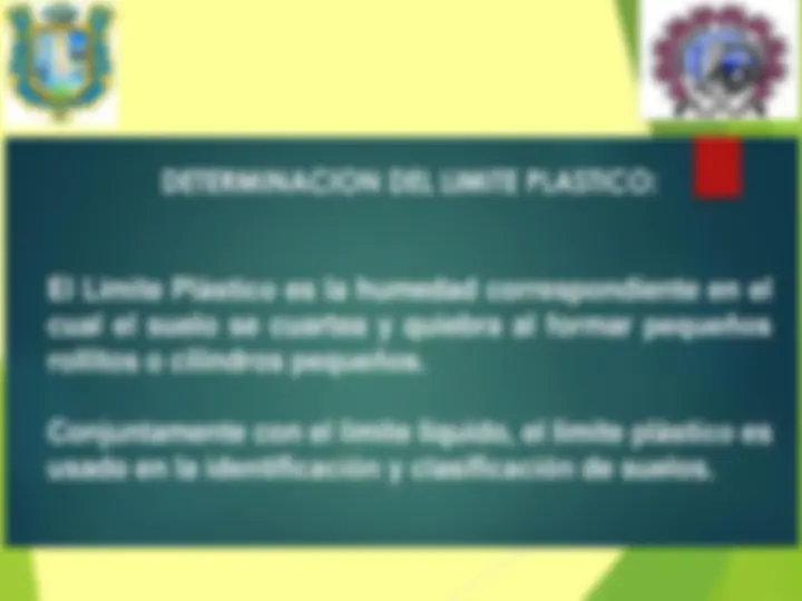 pf19