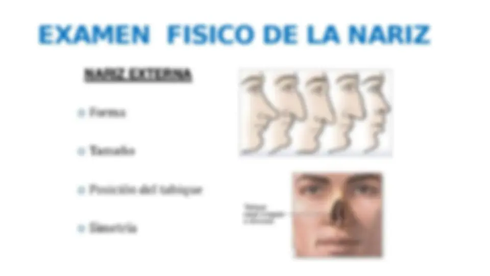 pf3