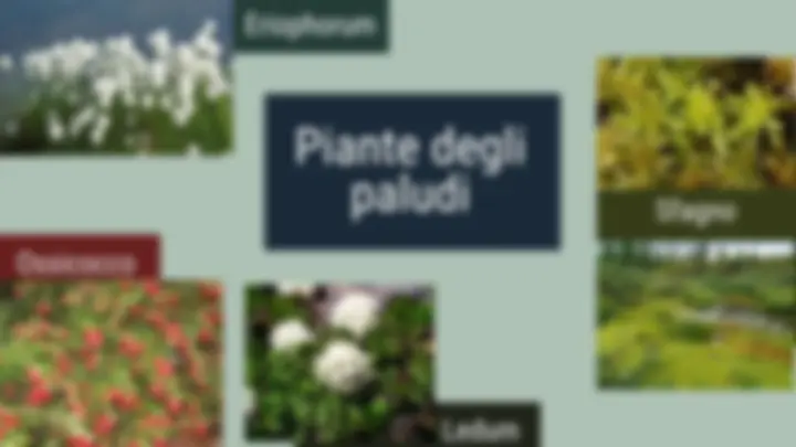 pff