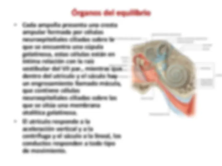 pf2a