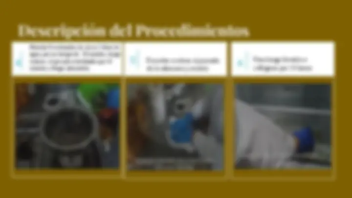 pf5