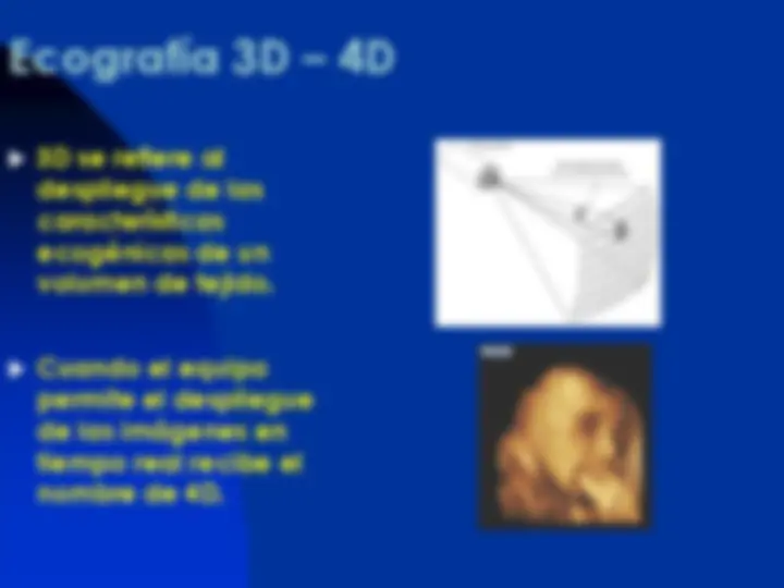 pf26