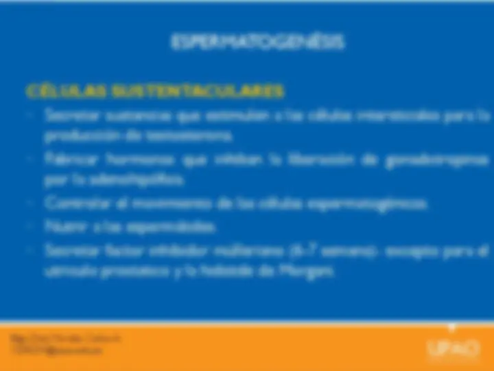 pf13