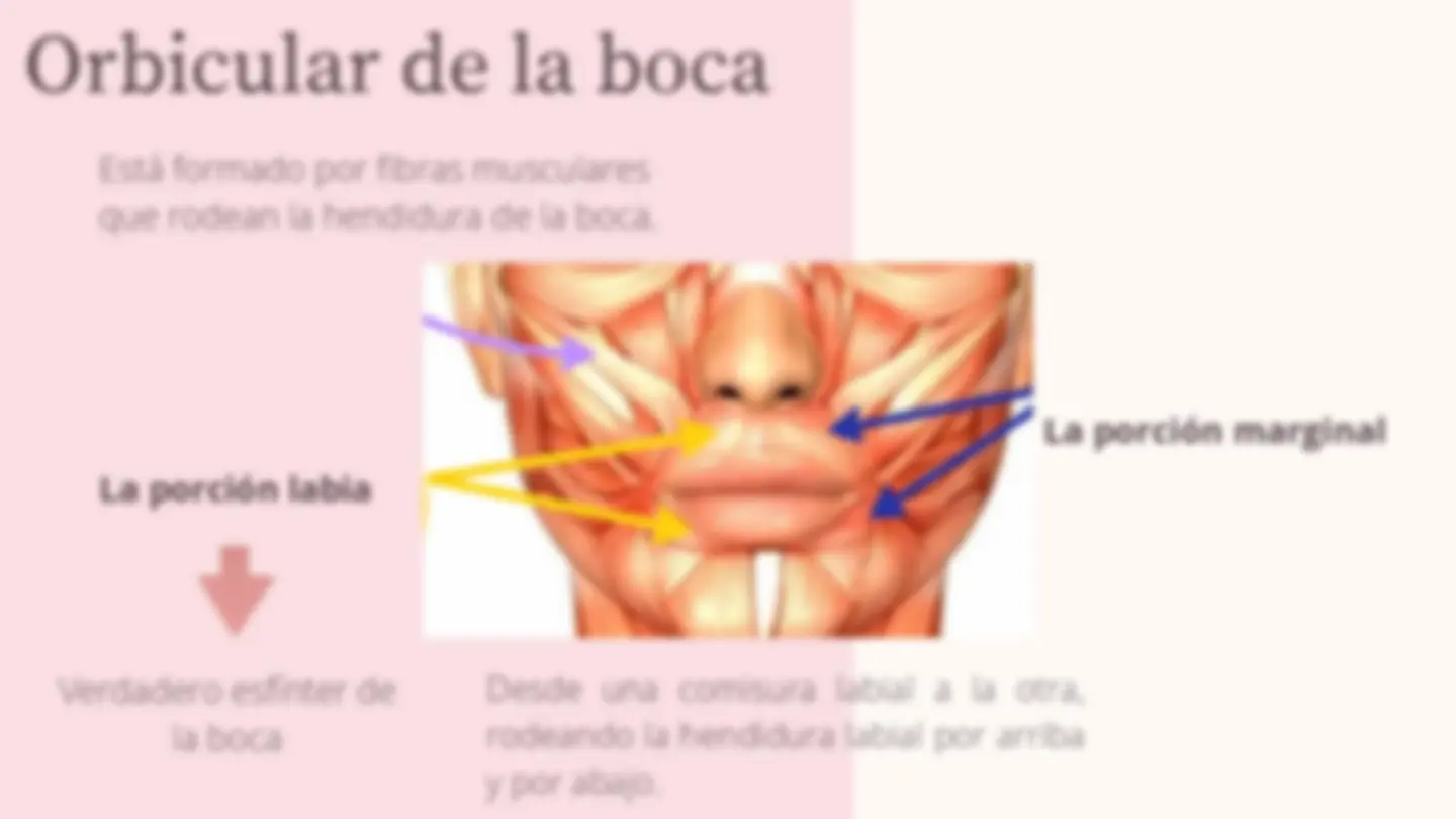 pfa