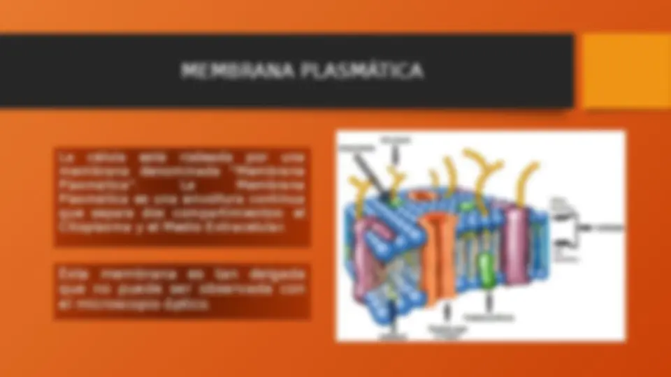 pf4