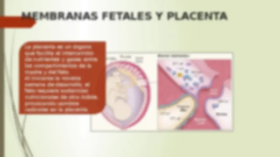 pfa