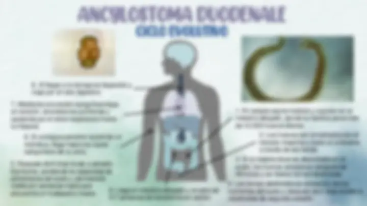 pfe