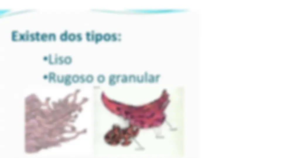 pfe