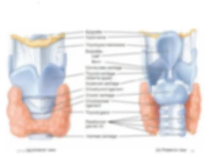 pf1a
